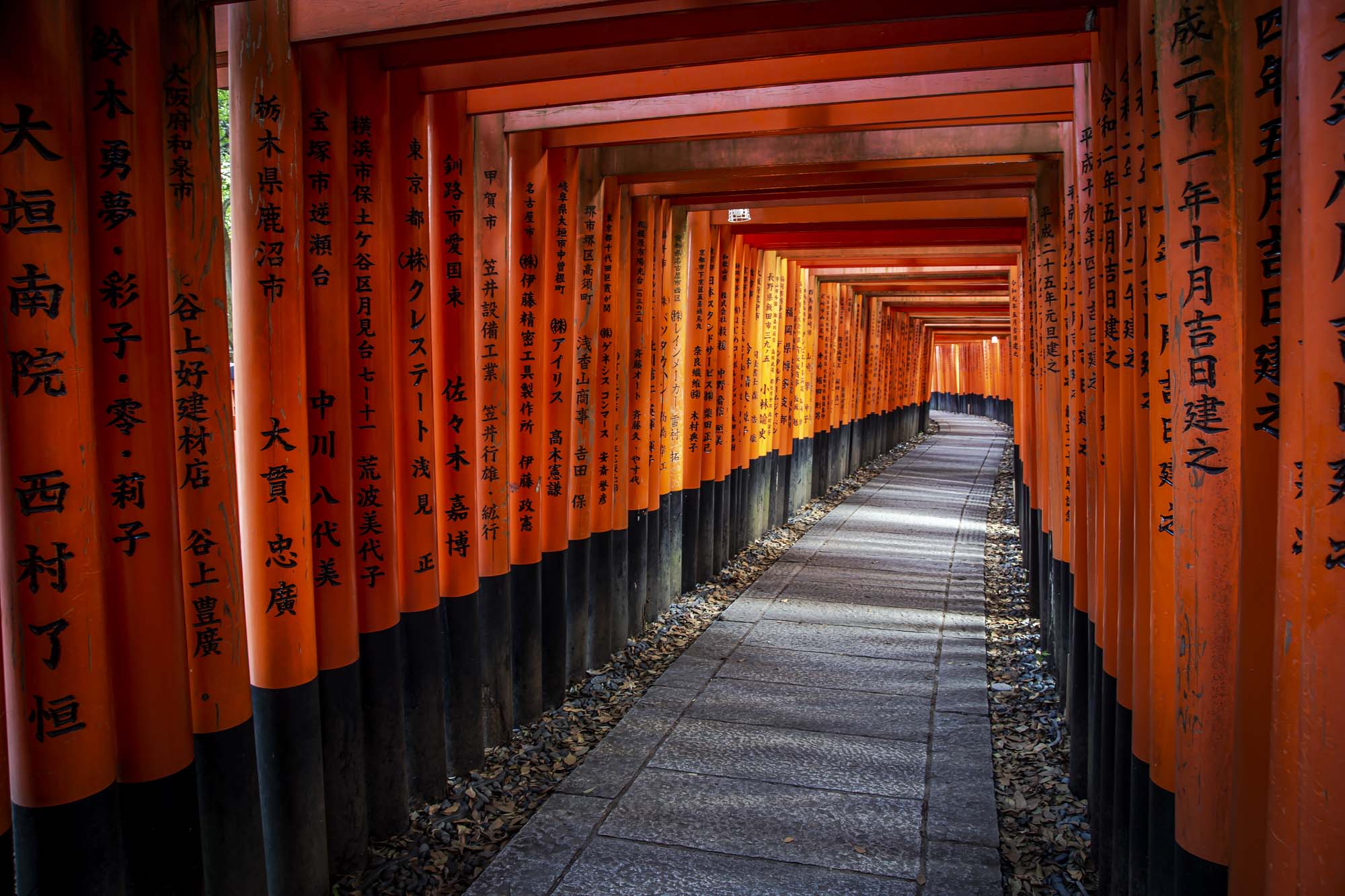 Kyoto travel guides