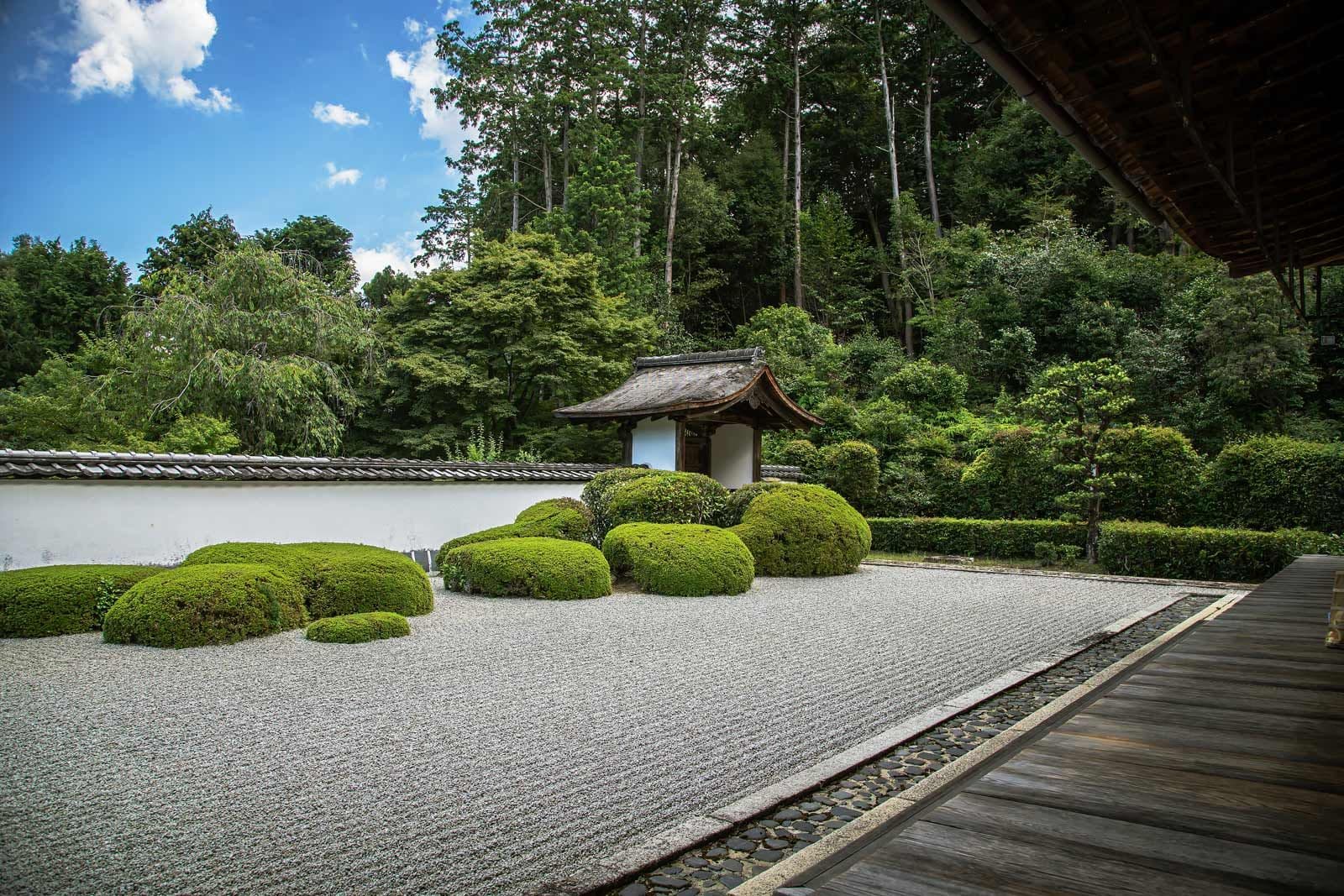 Shodenji Temple: Kyoto's Best Kept Secret