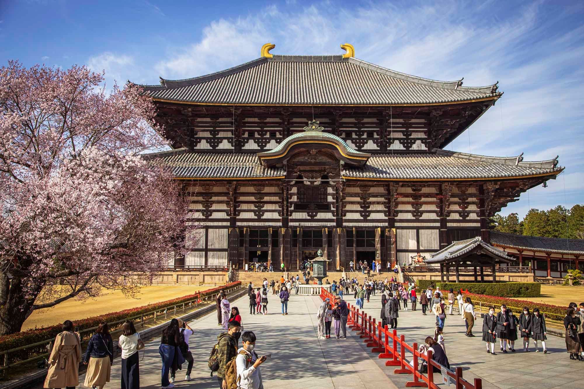A Guide to a One-Day Tour of Nara: Japan’s First Capital