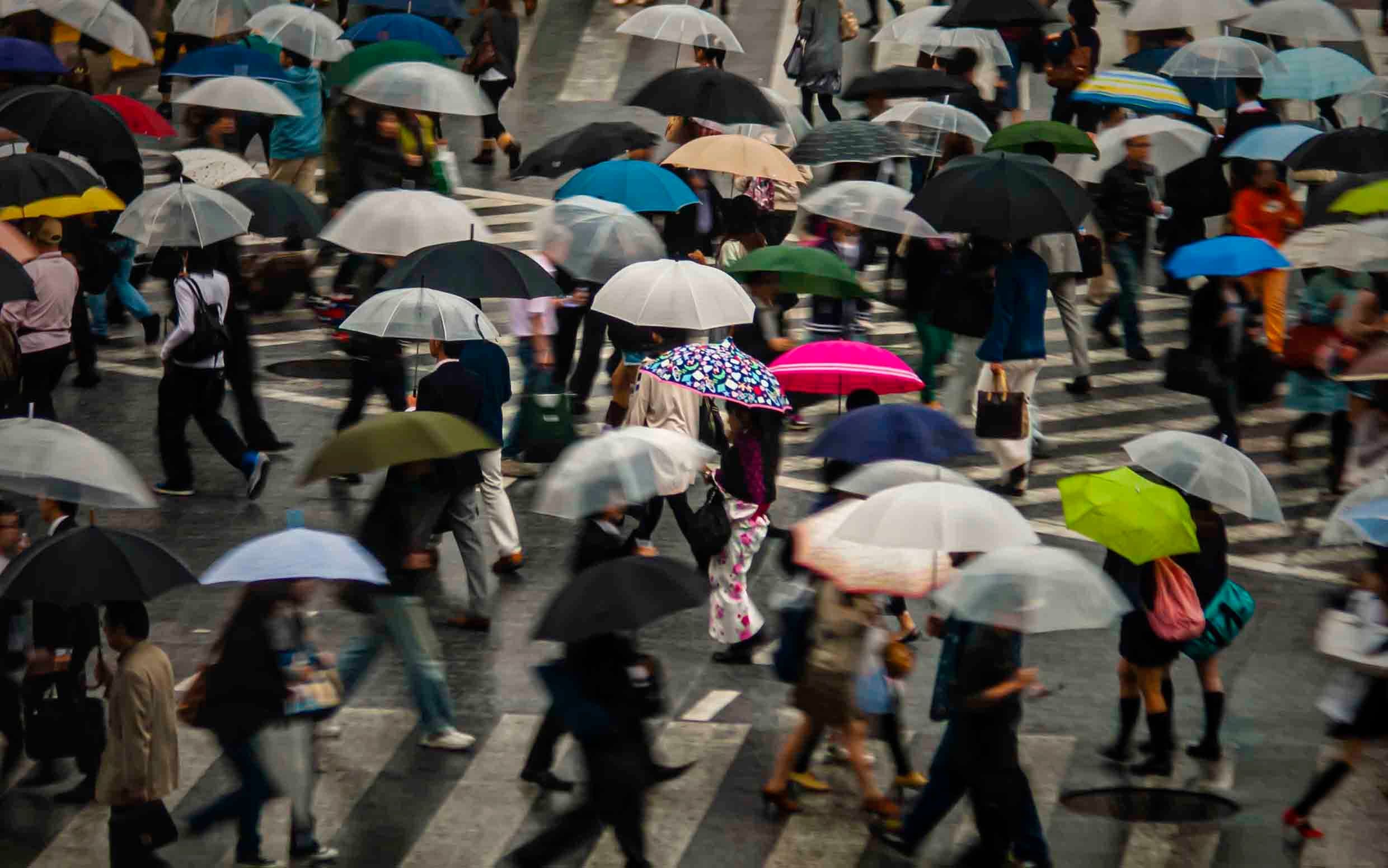 Living In Japan: Revealing Insights From a 20-Year Expat