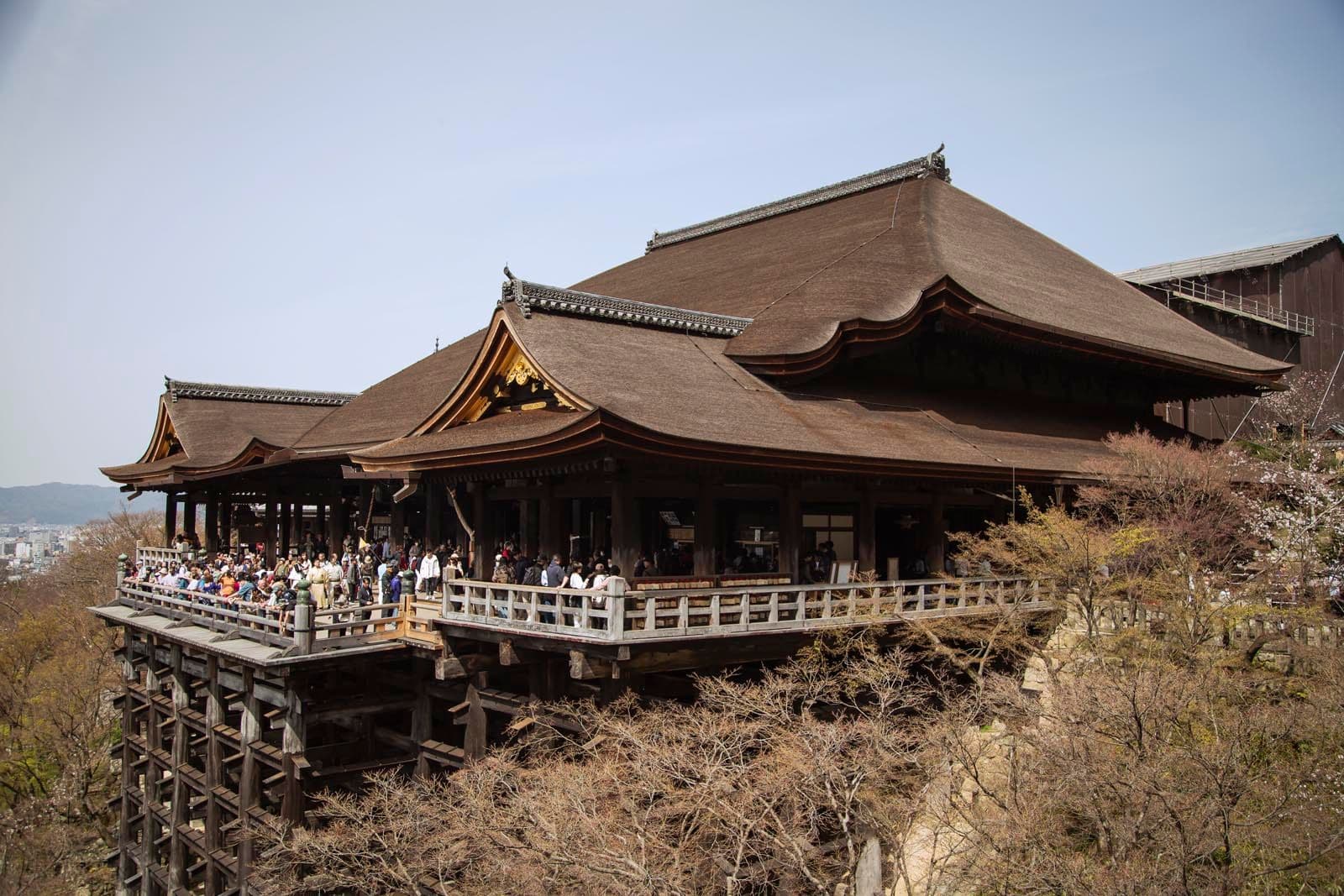 Is Kyoto Overcrowded? Local Tips to Avoid Tourist Crowds